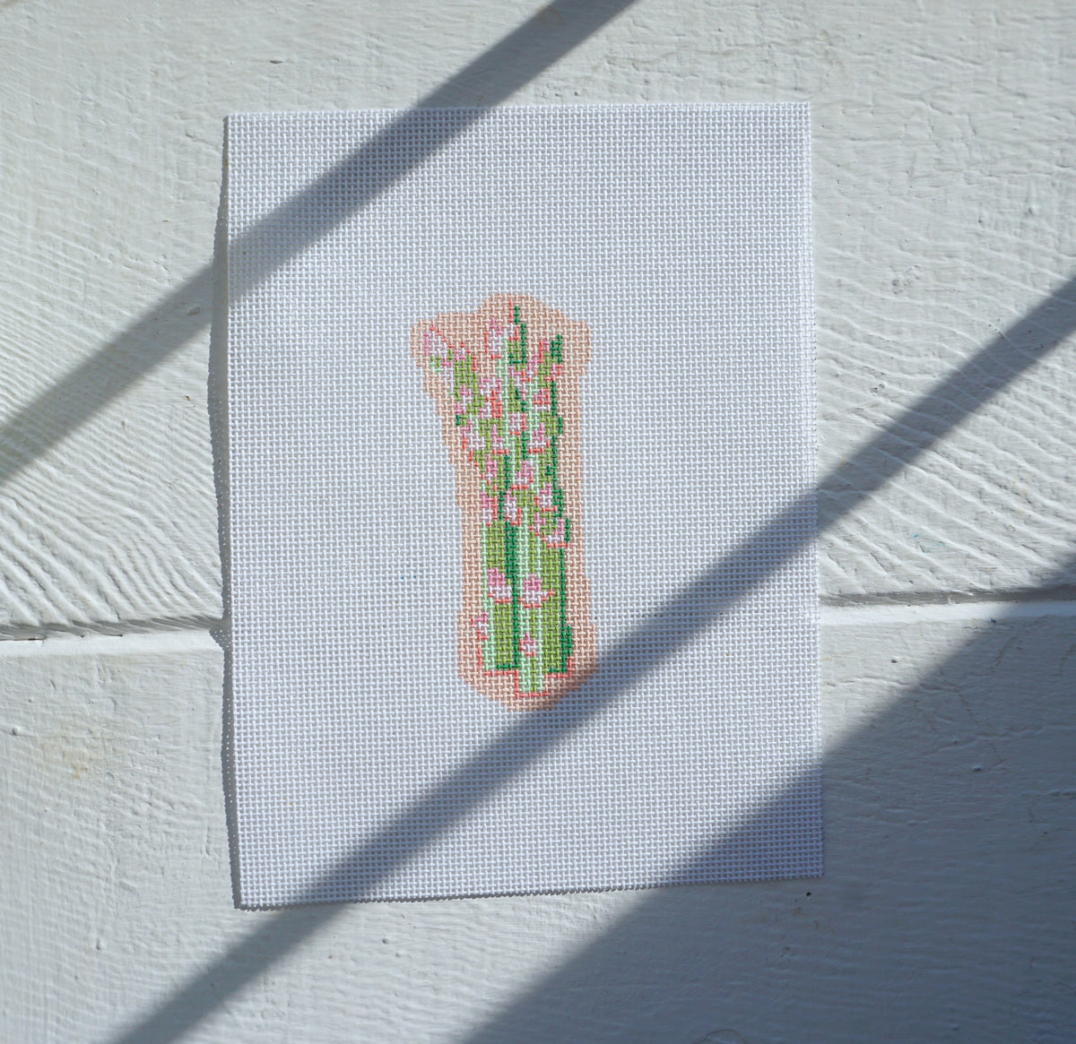 Mini Asparagus